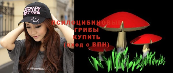 не бодяженный Алексин