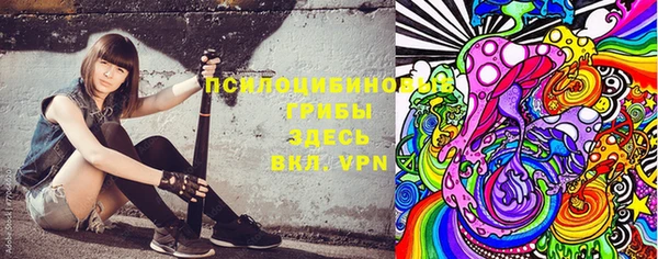 прущая мука Абаза