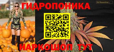 амф Моздок