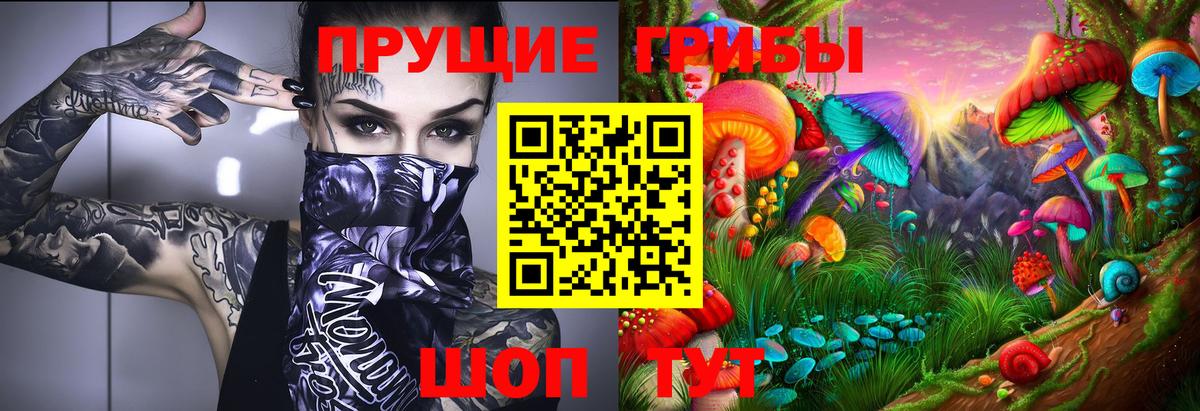 Псилоцибиновые грибы MAGIC MUSHROOMS Кохма