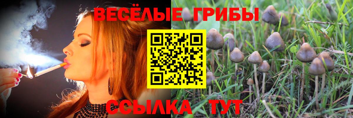 Псилоцибиновые грибы ЛСД  Вход с VPN  Кохма 