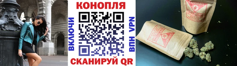 Канабис OG Kush  Кохма 