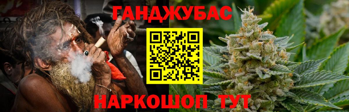 Конопля сатива Кохма