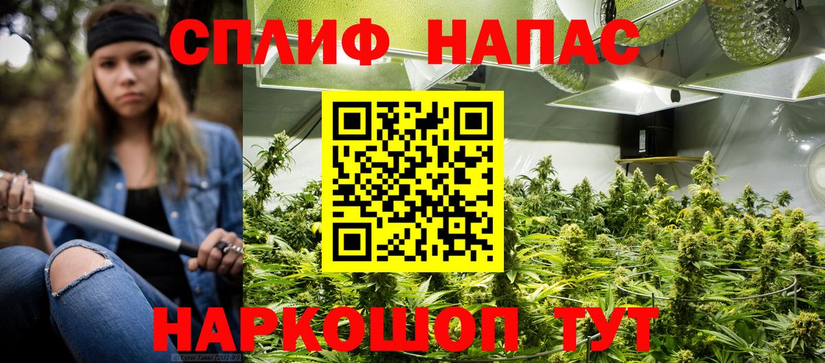 Кохма  Канабис сатива  Бошки марихуана LSD WEED  Вход с VPN  Канабис Ganja  Бошки марихуана SATIVA & INDICA 